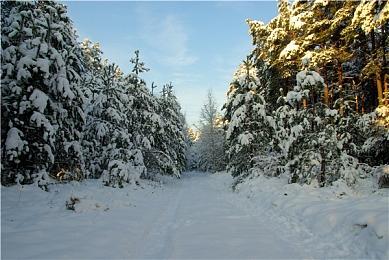 《碧海黑帆》由于质量问题封测取消 游戏仍将年内发售