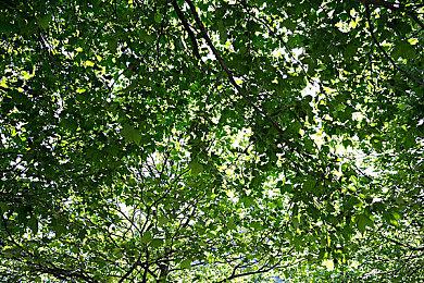 《英雄联盟》24赛季预告片 招牌英雄之间史诗决斗